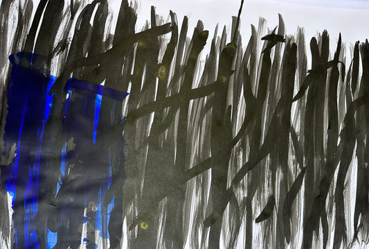 La turbulente immensité 1