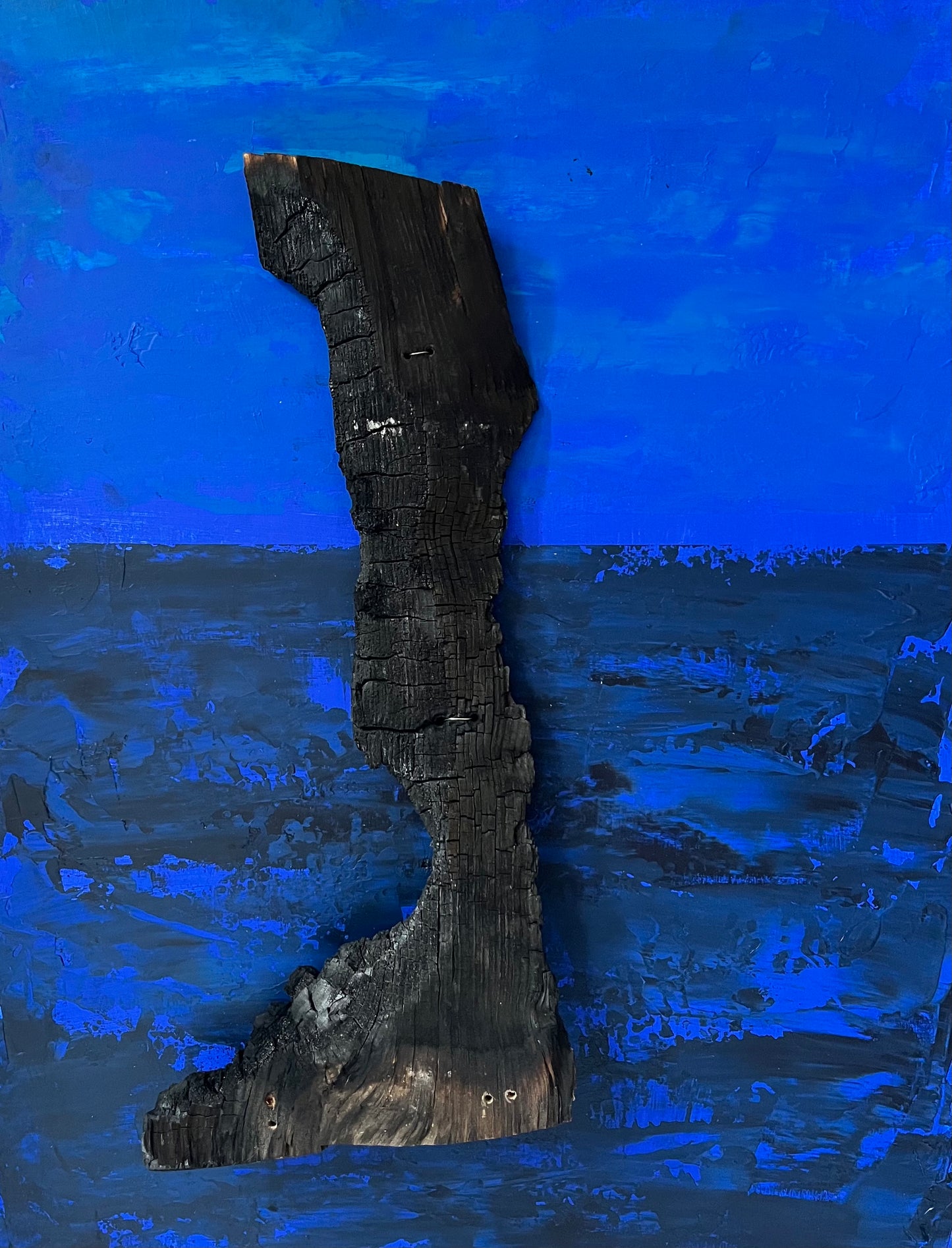 La forêt déchiquetée 4